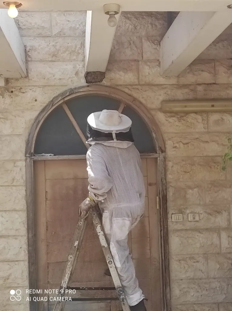 הדברת צרעות — בנדה הדברות