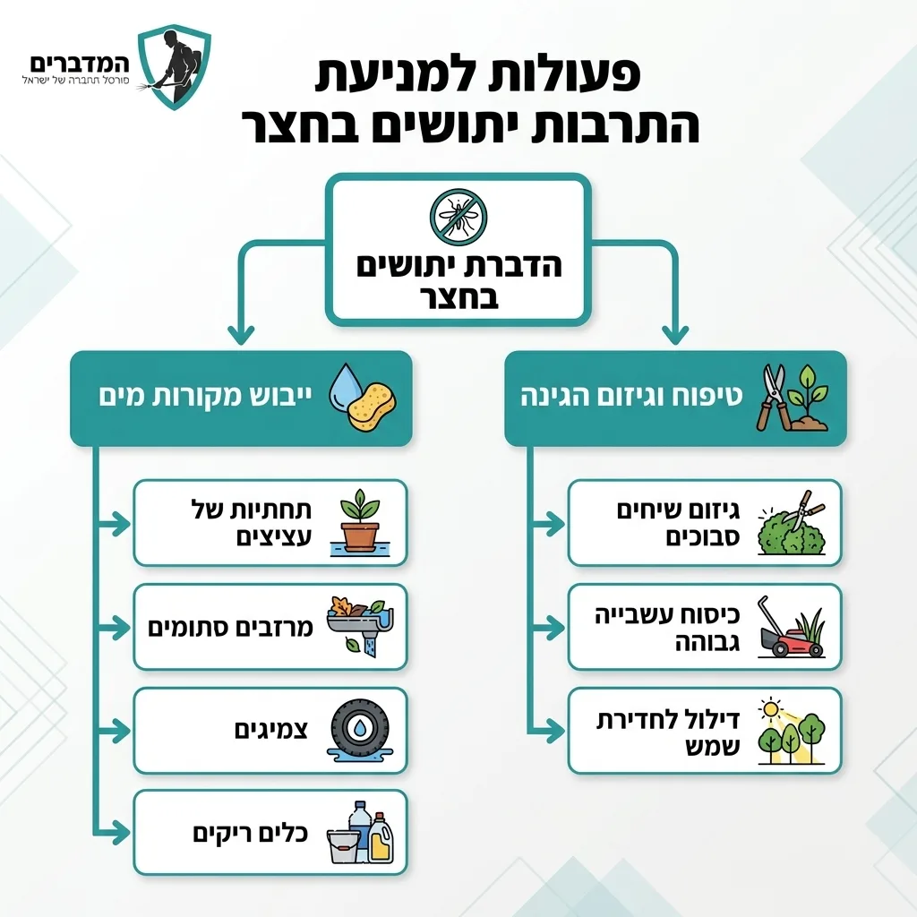 אינפוגרפיקה — פעולות למניעת התרבות יתושים בחצר: הדברת יתושים בחצר